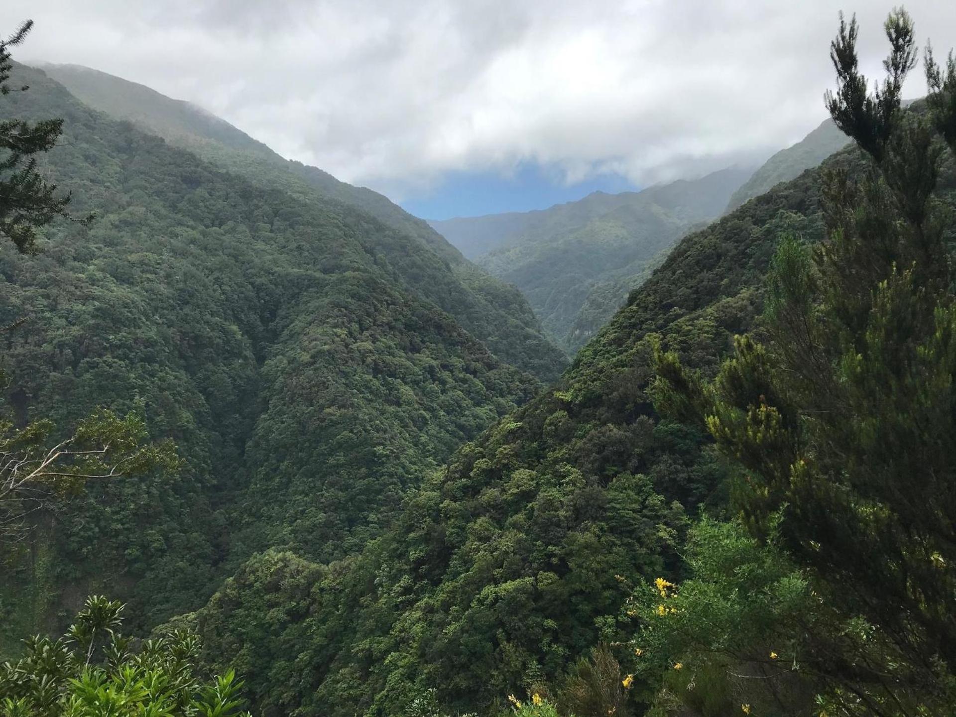 Ferienwohnung Fuer 8 Personen Ca 120 M In Canico, Madeira Suedkueste Von Madeira Levadas Buitenkant foto