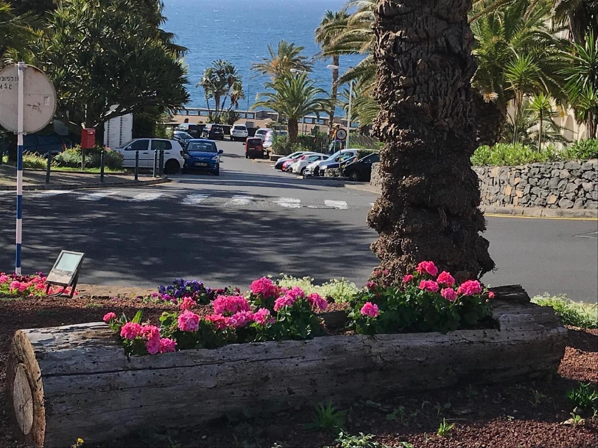 Ferienwohnung Fuer 8 Personen Ca 120 M In Canico, Madeira Suedkueste Von Madeira Levadas Buitenkant foto